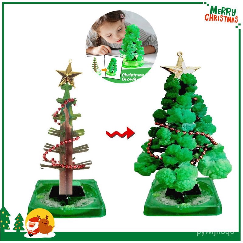 Magic Growing Christmas Tree ต้นคริสต์มาส ต้นไม้วิทยาศาสตร์ DIY Kid Magic Cardboard Paper Toy
