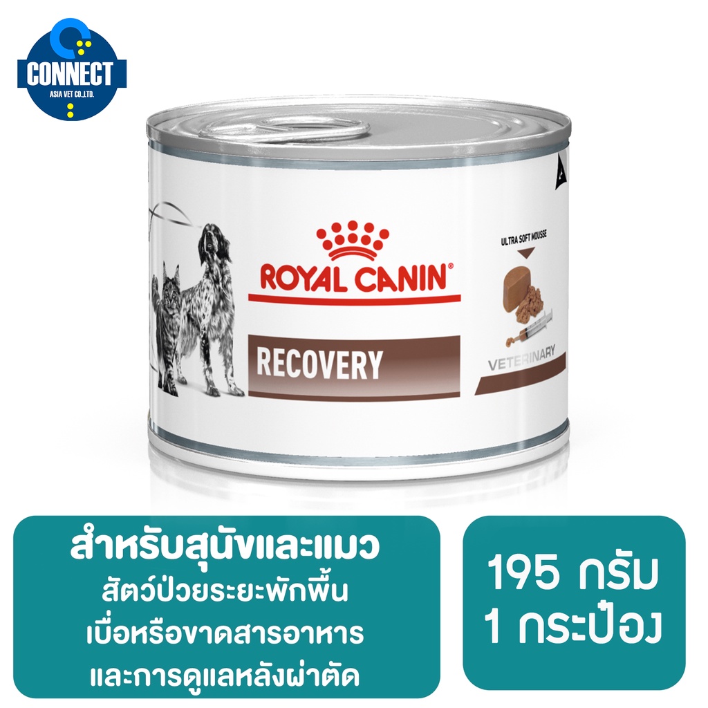 Royal Canin Vet Diet Recovery Canned อาหารสำหรับสุนัขและแมว พักฟื้น 195