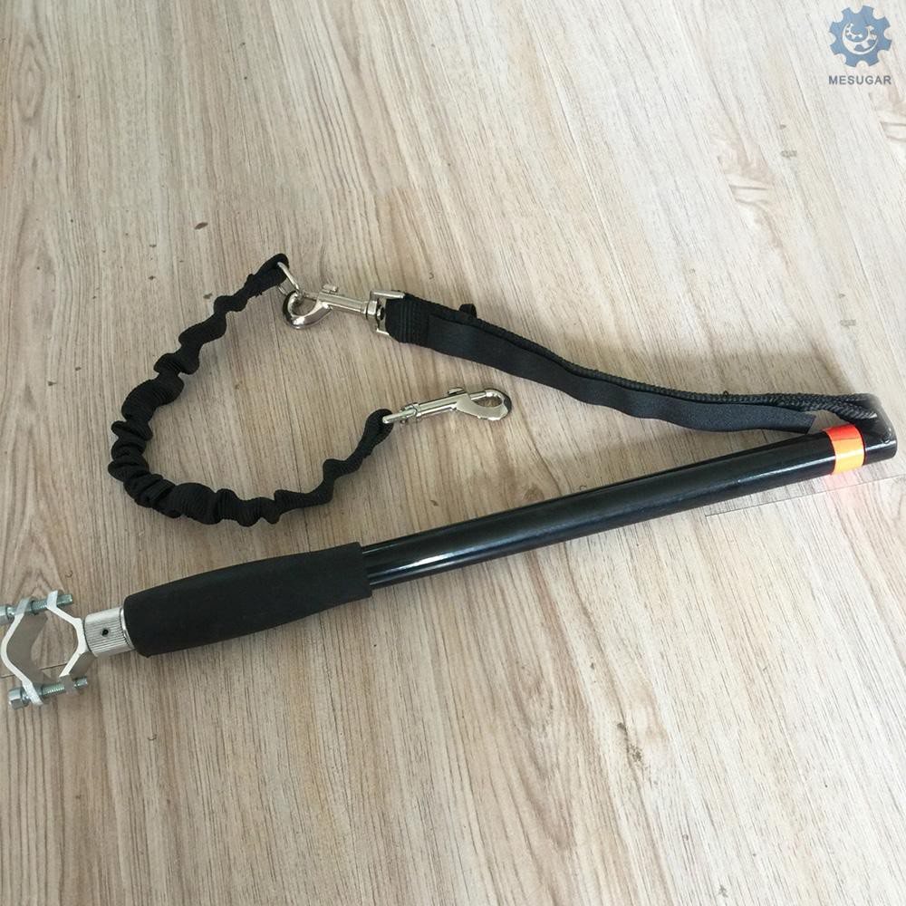 Ready Dog et Leash for Bike Exercise Hands Free Bike Walk Run