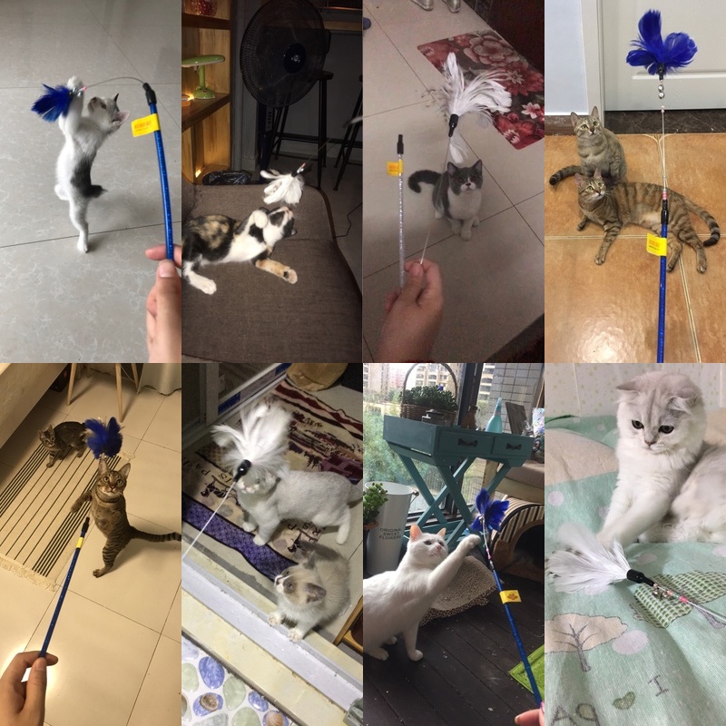 Tian Tian Cat Drilling Hole Cat Tunnel Rolling Totoro litter Kitty Toys