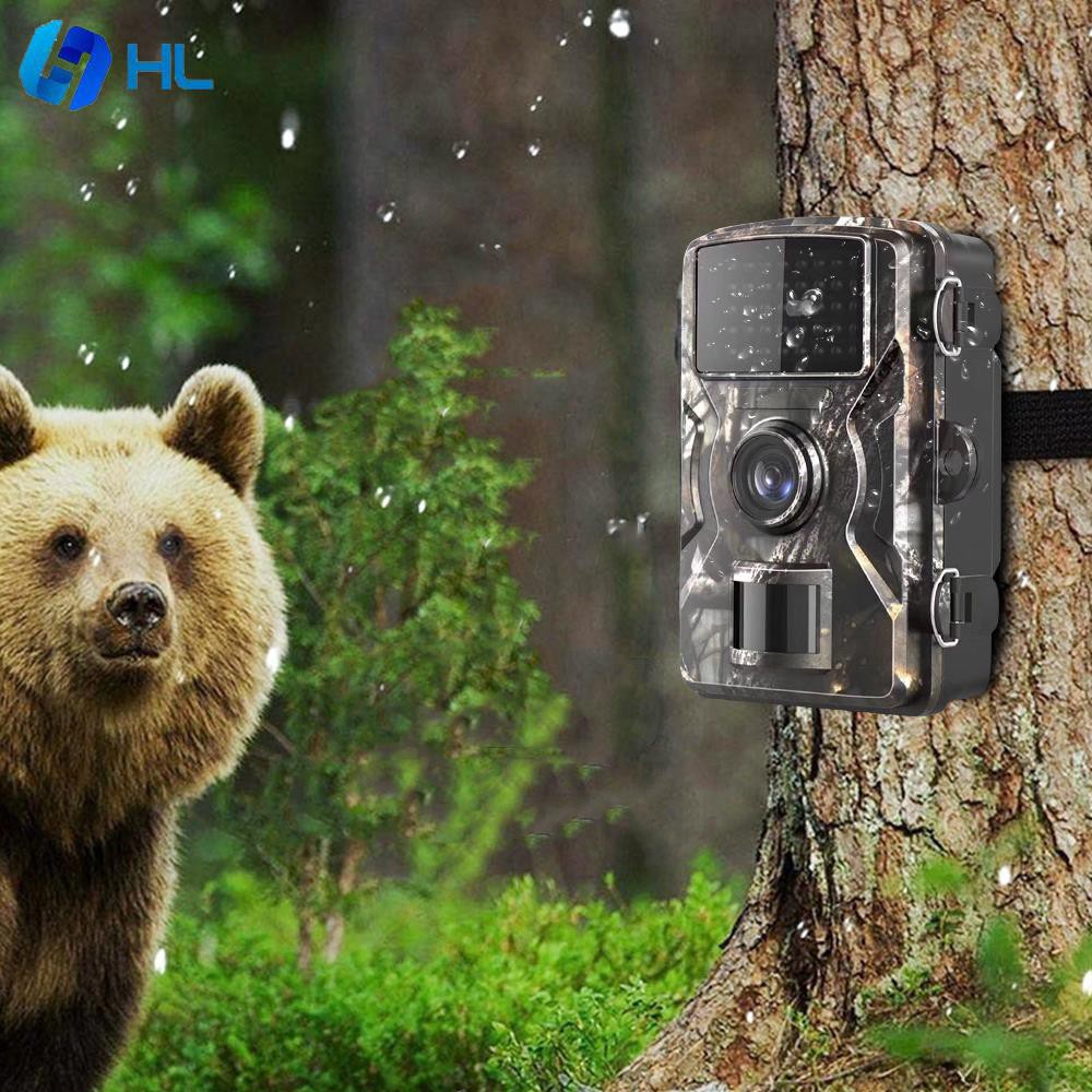 HL Scouting Camera Animal Camera Recording Video Observing Animals IR