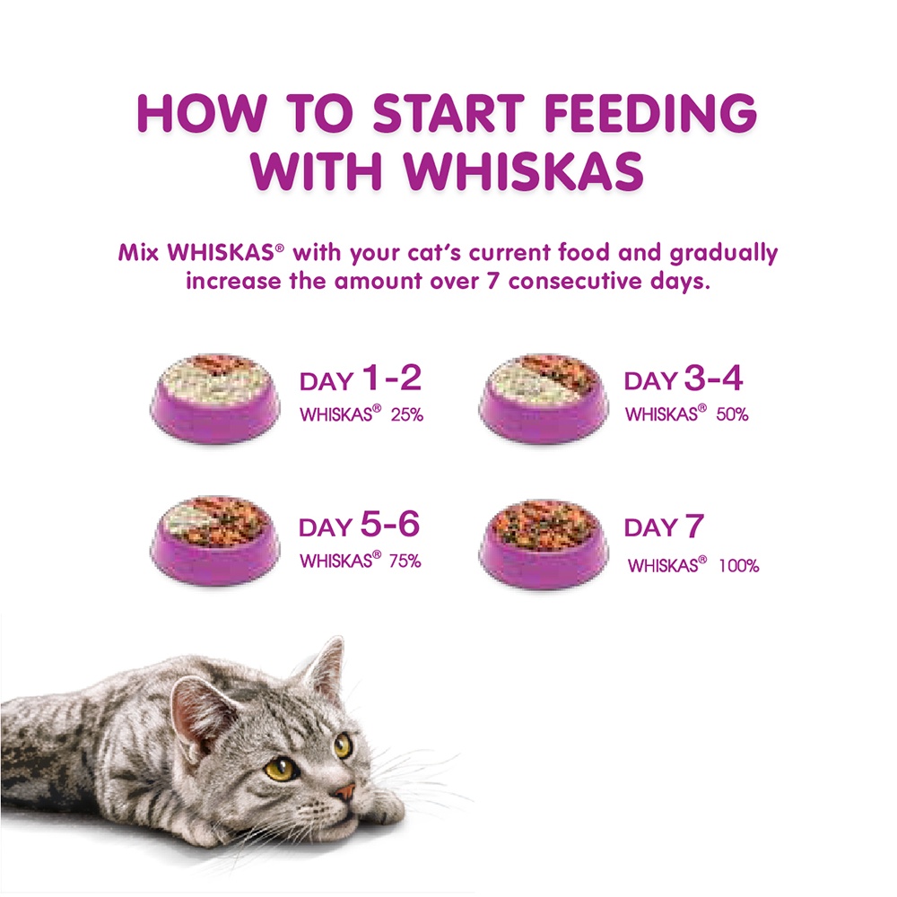 WHISKAS DRY CAT FOOD DRY POCKETS ADULT GOURMET SEAFOOD FLAVOUR 3 kg วิ