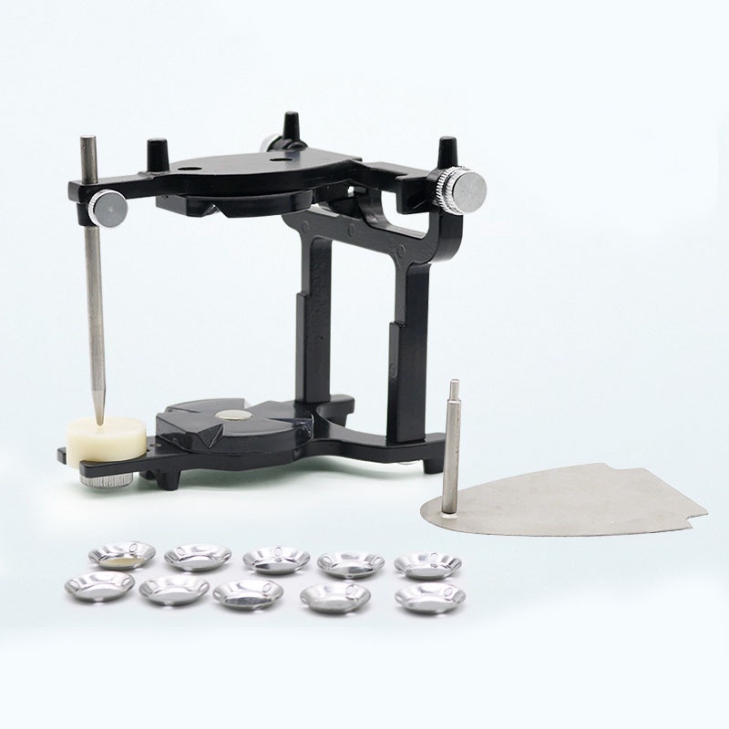 Dental Denture Articulators Big C Type Anatomical Denture