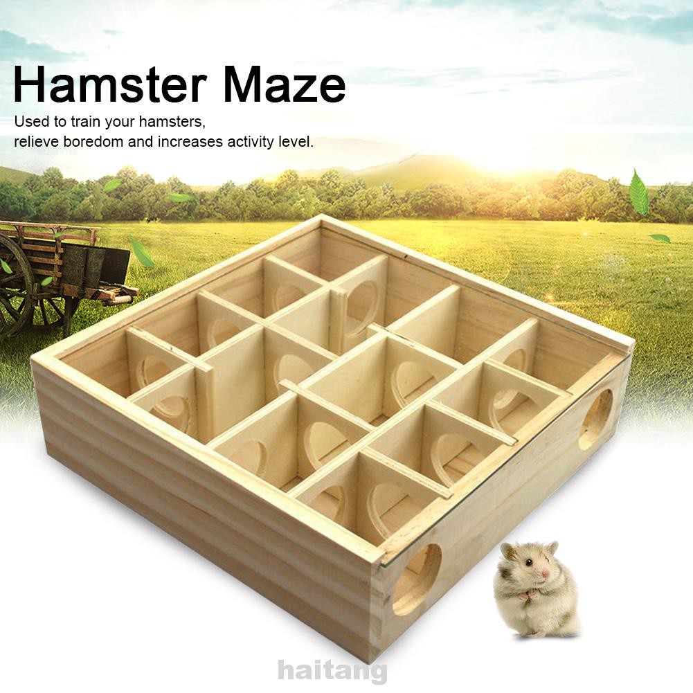 Training Square Pet Supplies Non Toxic Mice With Plexiglass Cover Sport