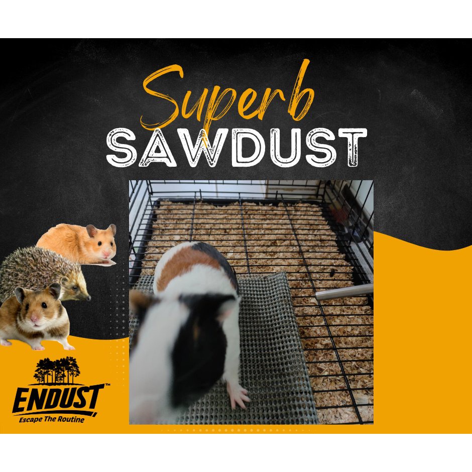 ENDUST 6KG SUPERB SAWDUST for Hamster Bedding Pet Bedding Guinea Pig