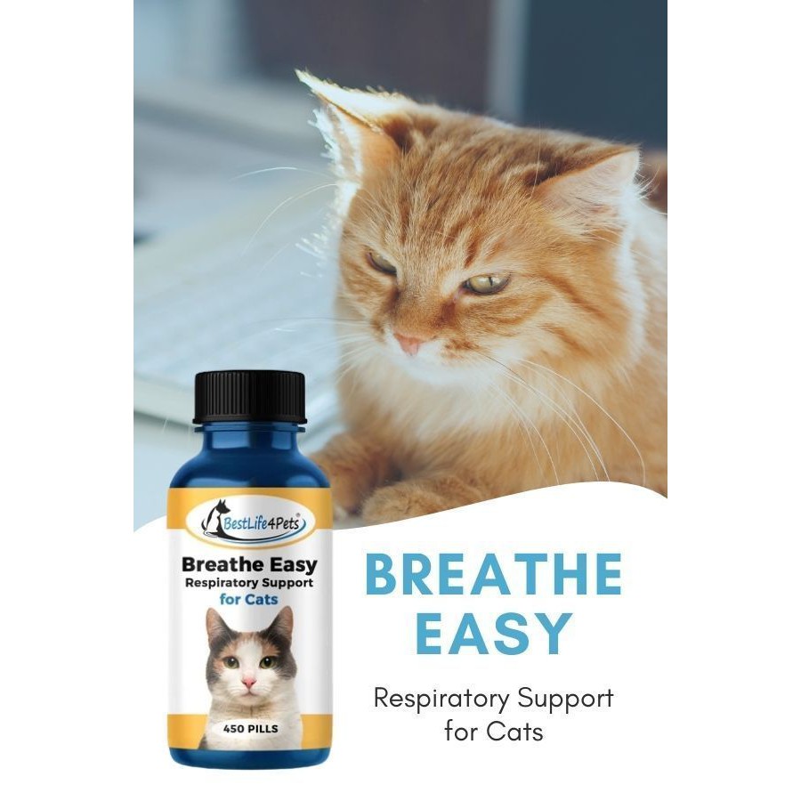 CAT Breathe Easy [กระปุก 450 เม็ด] อาหารเสริมสำหรับแมว ระบบทางเดินหายใจ