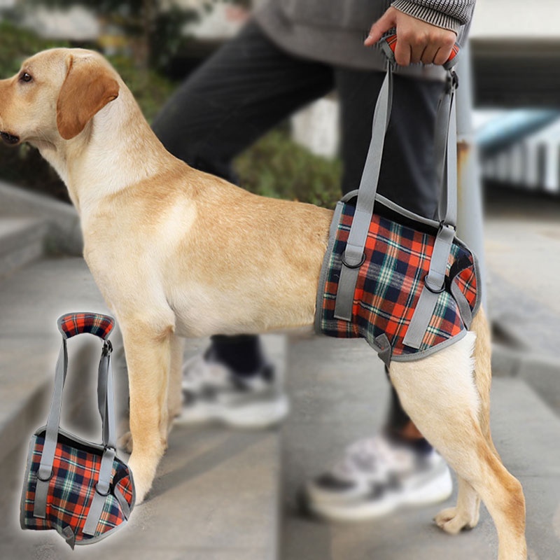 Rehabilitation Dog Hind Leg Assist Belt Postoperative Exercise Assisted