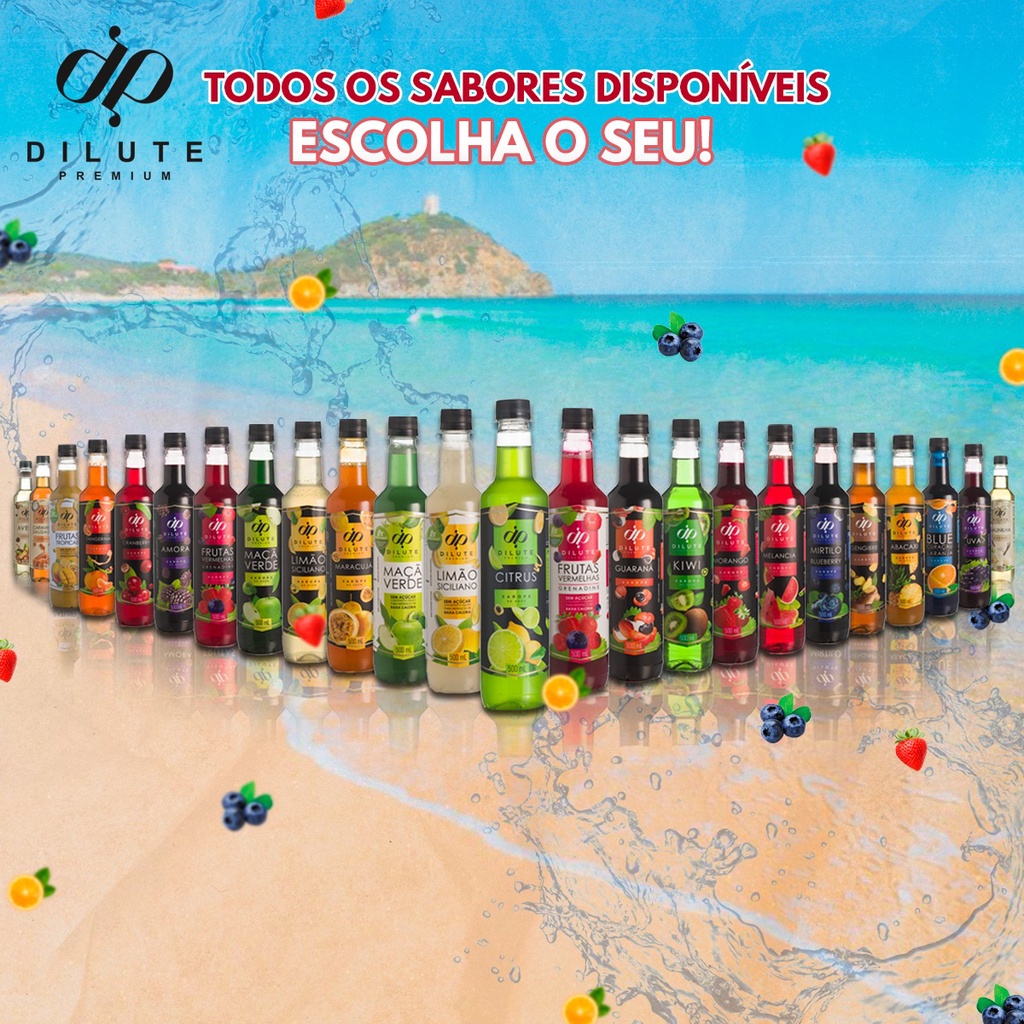 Dilute Premium 500ml todos os sabores xarope para gin e drinks Shopee