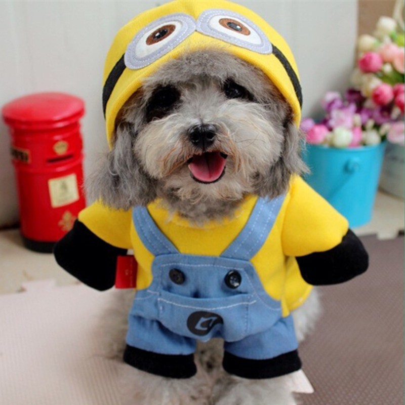 Pet Cosplay Costume Suit Roupas para cães Filhote de cachorro Roupas