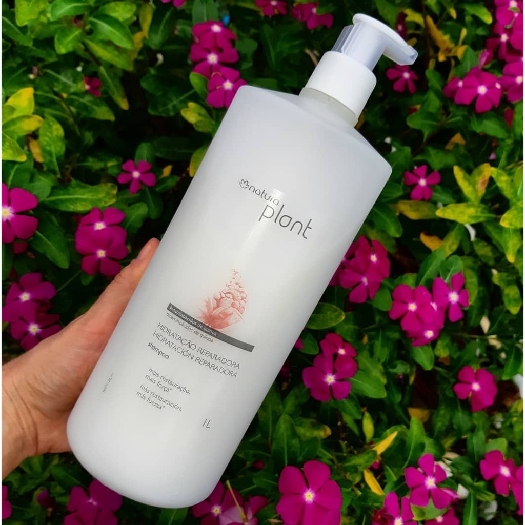 Descubrir 96+ imagen shampoo natura plant precio Abzlocal.mx