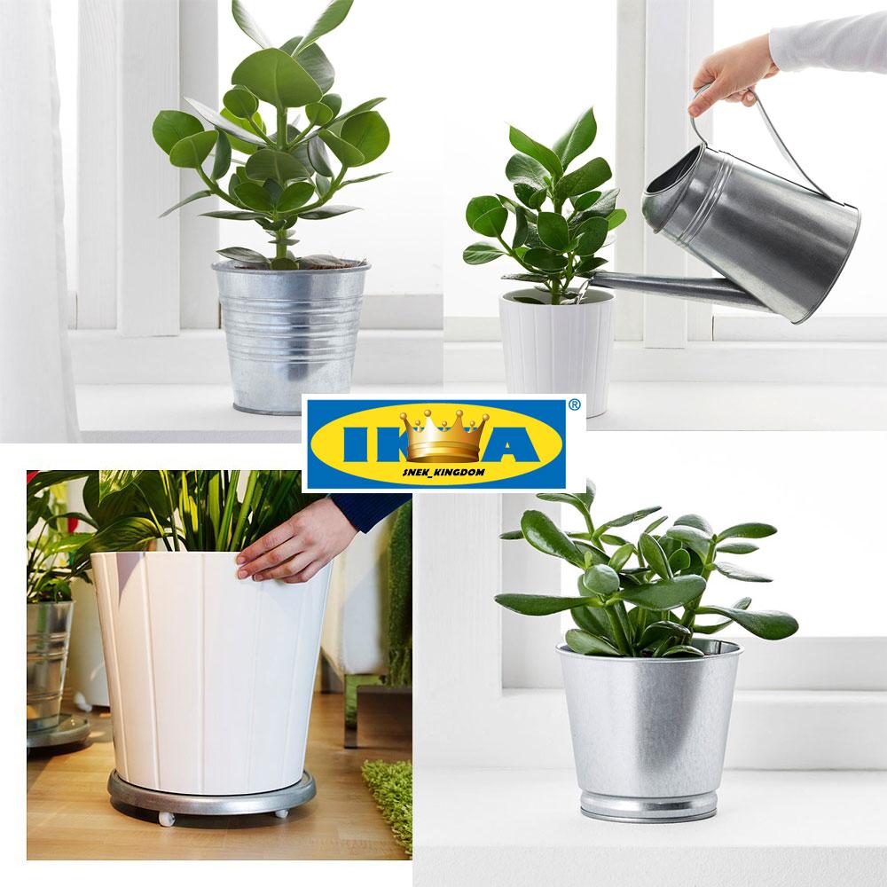 IKEA Plant Pot Flower Pot Pasu Bunga Plastic Flowerpot Pasu Pot Bouquet
