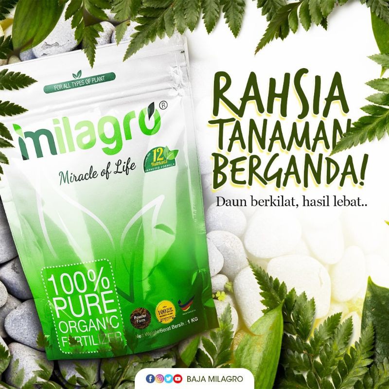 [READY STOK] BAJA MILAGRO BAJA ORGANIK 100 / Organic