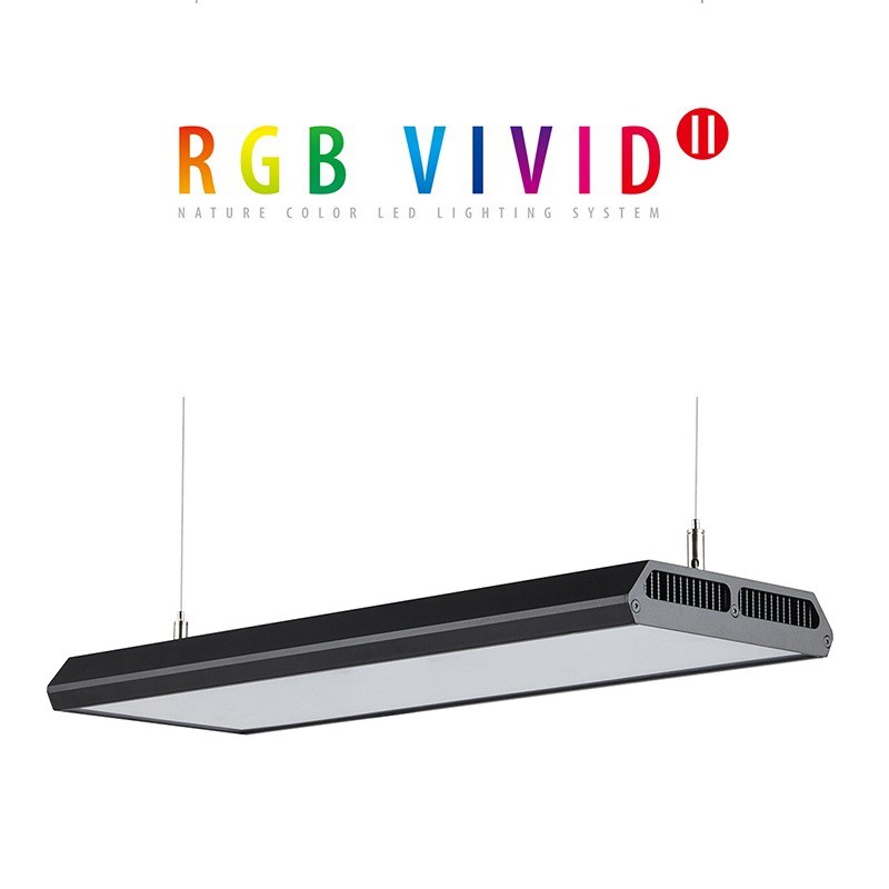 CHIHIROS RGB VIVID2(II) LED FRESHWATER AQUARIUM PLANTED