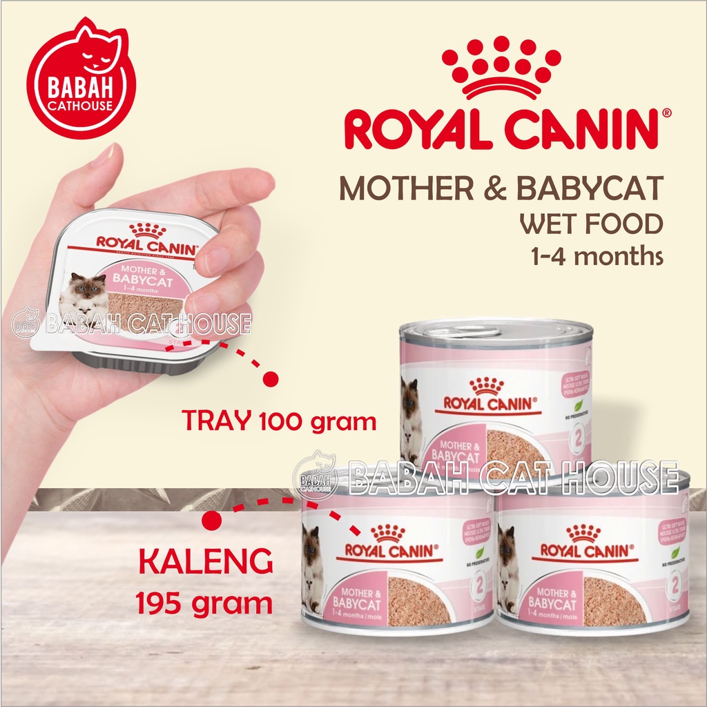 Rc MOTHER AND BABY CAT Cannel / TRAY Royal Canin Wet CAT Food For