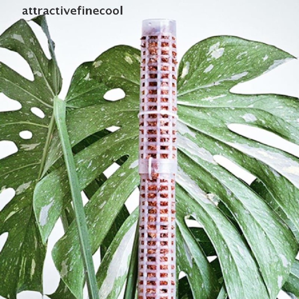 ACMY New 25cm Climbing Plant Pole Sphagnum Moss Sticks Plant Growing