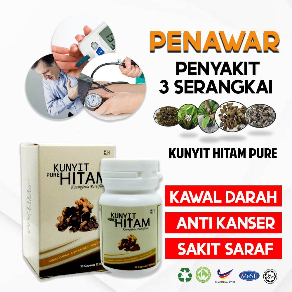 Kunyit Hitam Mardi Borong