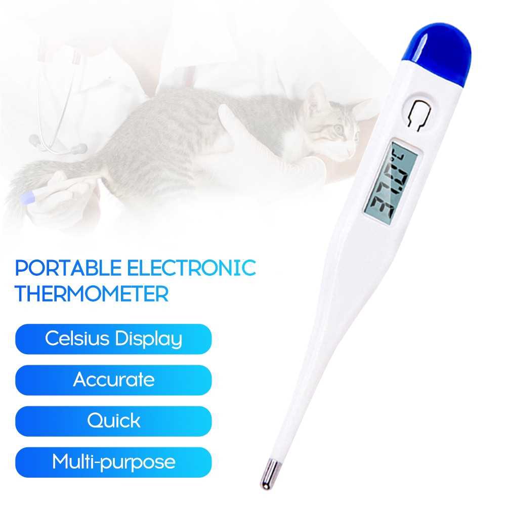 Portable Electronic Thermometer for Mouth Underarm Celsius Display