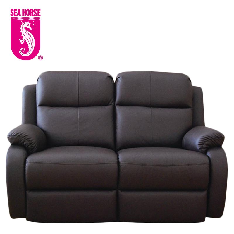 Seahorse Leather Sofa Bed Singapore Sofa Design Ideas