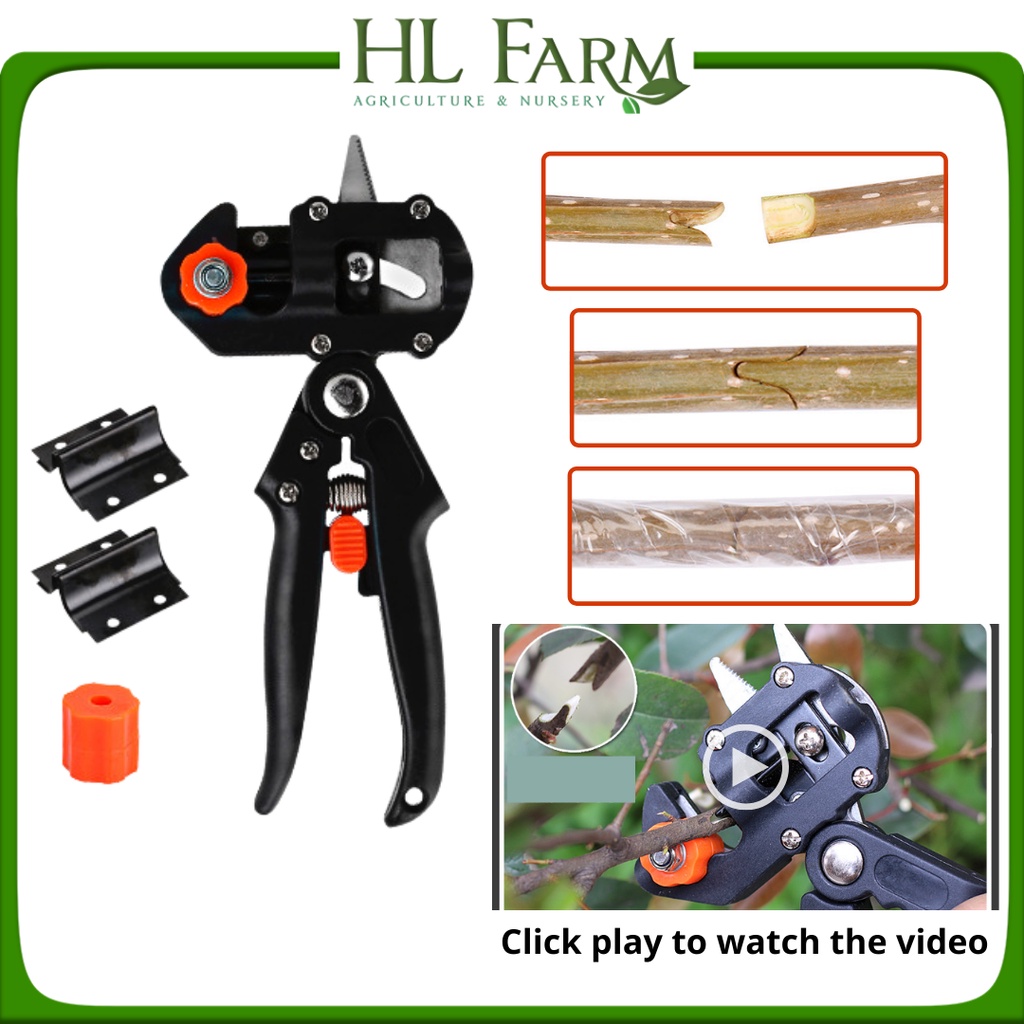 Grafting Tools Pruner Kit / Garden Fruit Tree Grafting Shears 2 in 1