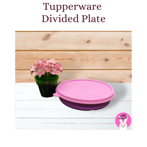 [READY STOCK] Tupperware Divided Plate 350ml (Purple) Shopee Malaysia