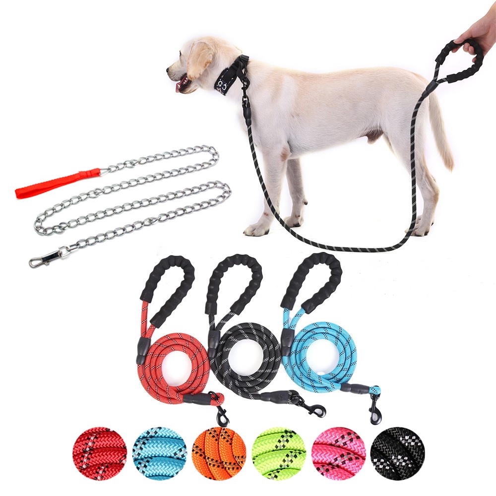 How Do You Handle A Big Dog