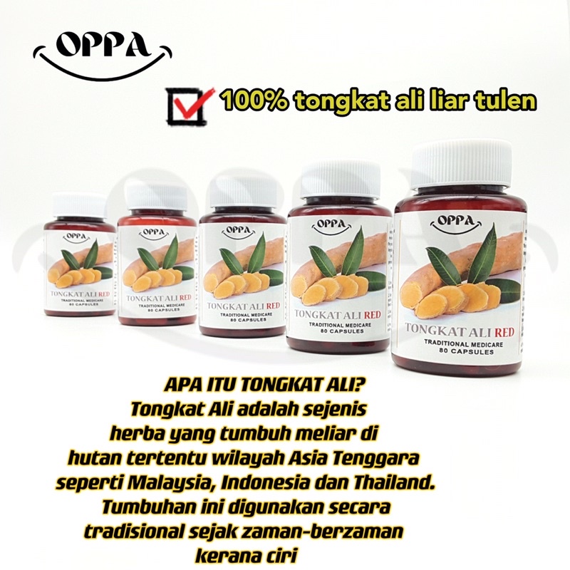 100 Wild Yellow Tongkat Ali Capsules,Guarantee 100 Pure Root Shopee