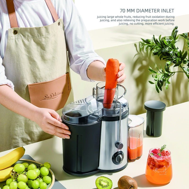 Electric Power Juicer Machine 2 Speed Stainless Steel Juice Extractor