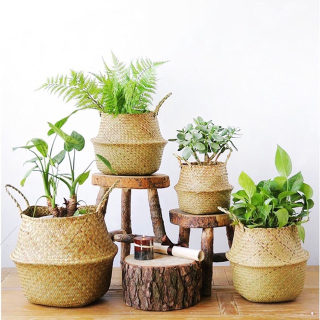 Wicker Baskets For Indoor Plants Bruin Blog
