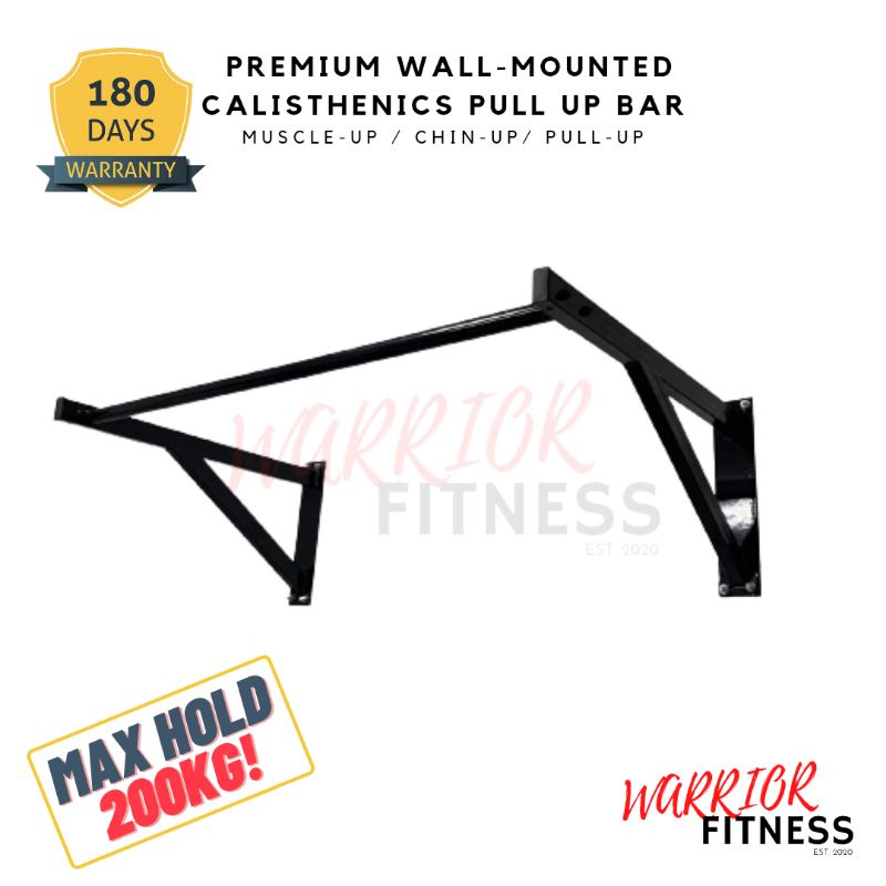 [Ready Stock in KL] Premium WallMounted Calisthenics Home Use Pull Up