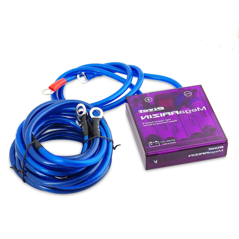 Universal Mega RAIZIN Volt Stabilizer/With 5 Ground Wires