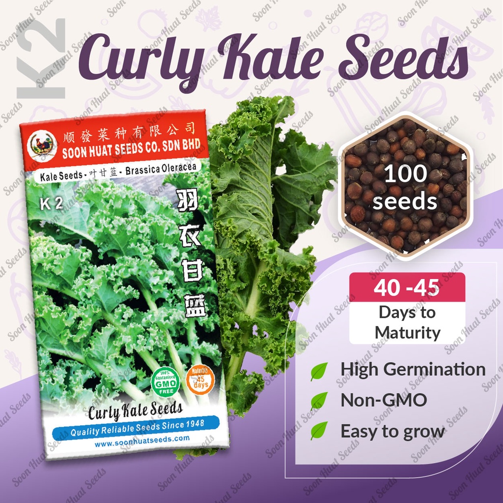 Soon Huat K2 Benih Curly Kale Seeds Shopee Malaysia