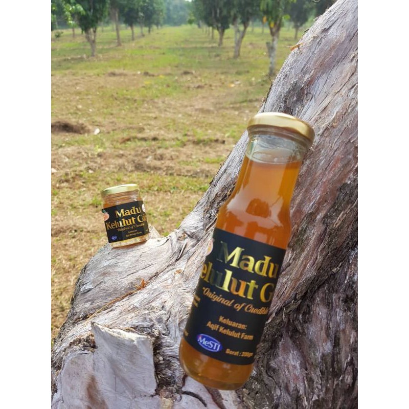 harga madu kelulut asli