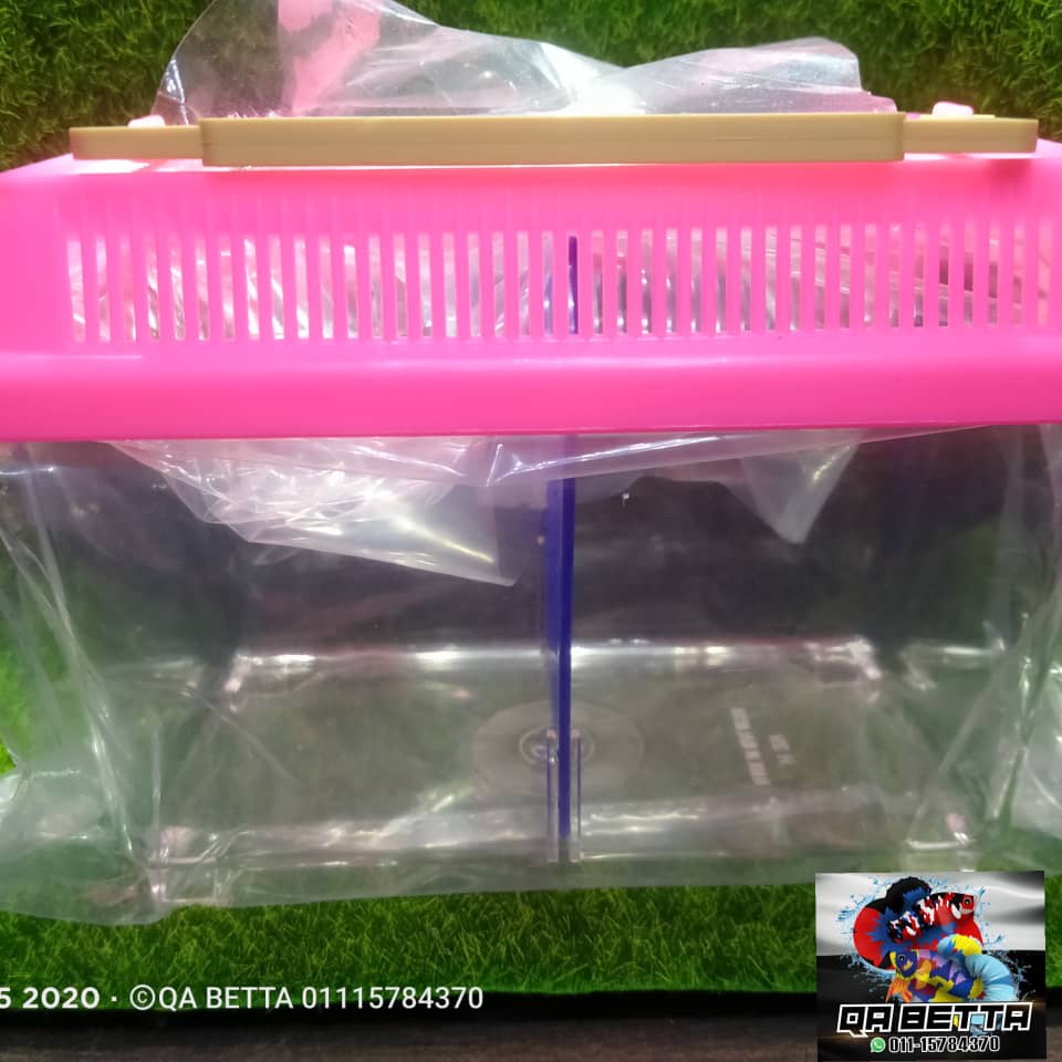 Ready stock FISH TANK (Akuarium plastik,betta tank,ikan laga,akuarium