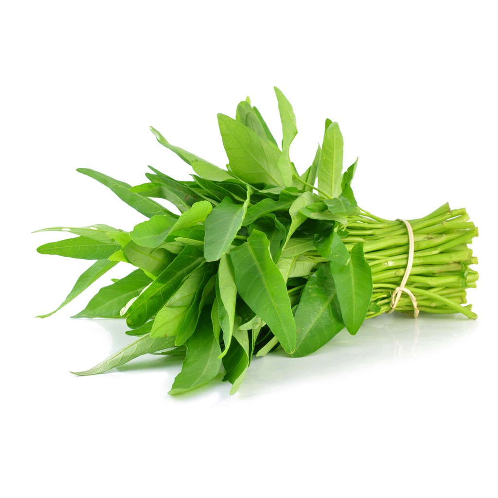 50g Biji Benih Kangkung / Kangkong / Water Spinach Seeds / 空心菜 Shopee