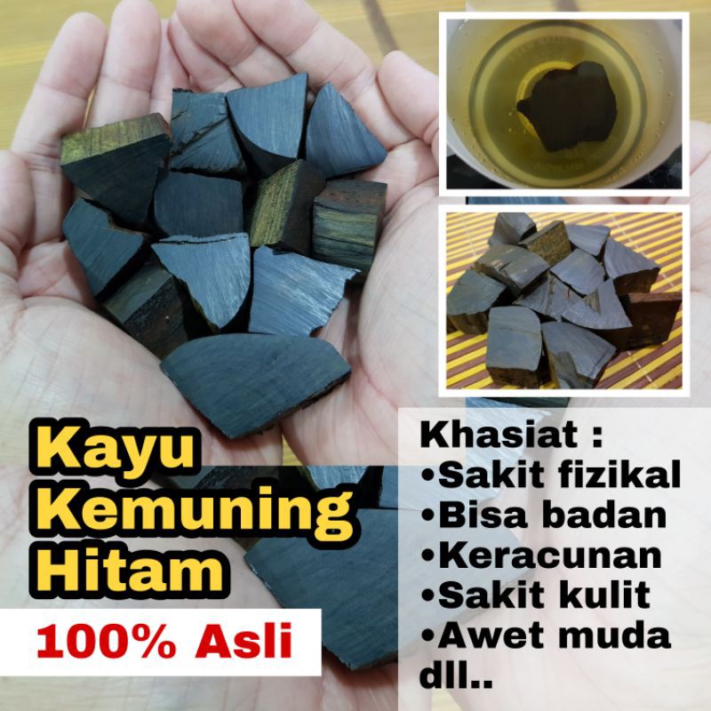 [100 Asli] Kayu Kemuning HitamKhasiat Alami Bagi Pelbagai Masalah