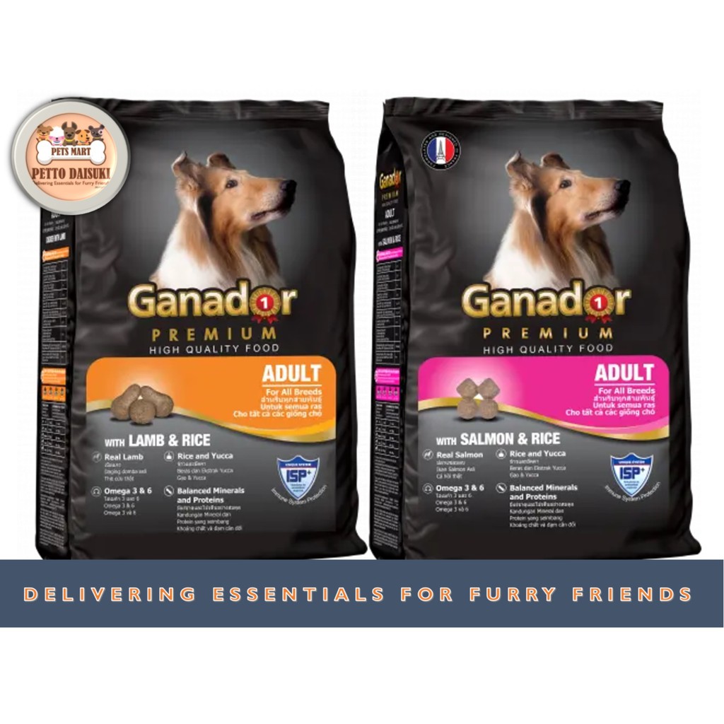 What Is A High Quality Dog Food