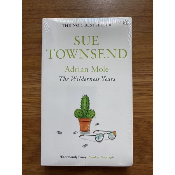 Adrian Mole The Wilderness Years (Adrian Mole 4) by Sue Townsend (Contemporary Humour