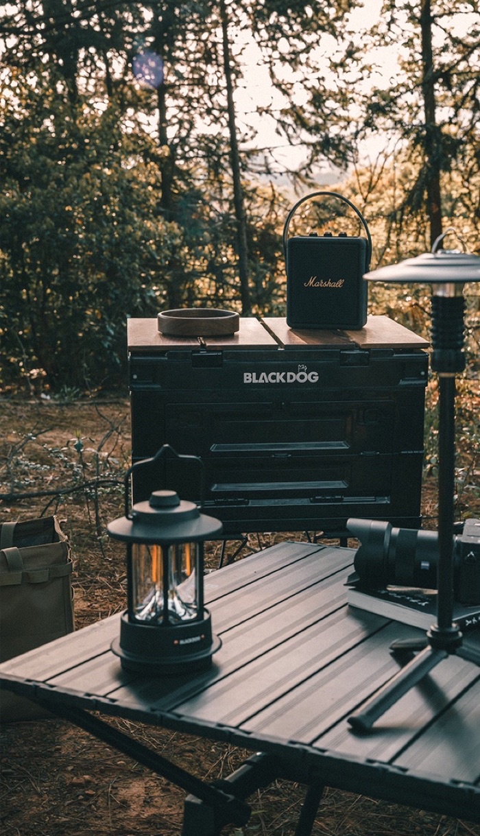 BLACKDOG Folding Storage Box 50L HighCapacity Foldable Portable Pp