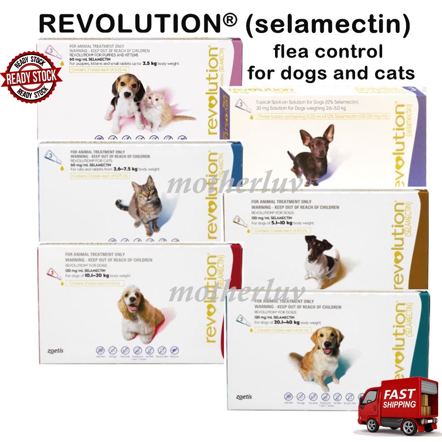 Does Revolution Kill Tapeworms In Dogs