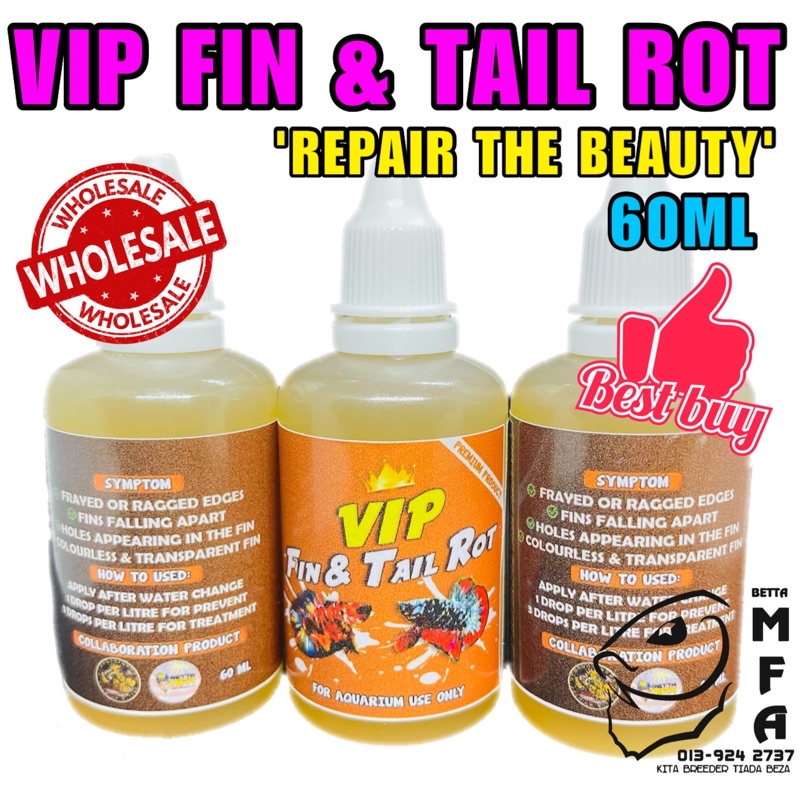 VIP FIN & TAIL ROT CAUSE OF POOR WATER CONDITION AND STRESS FISH