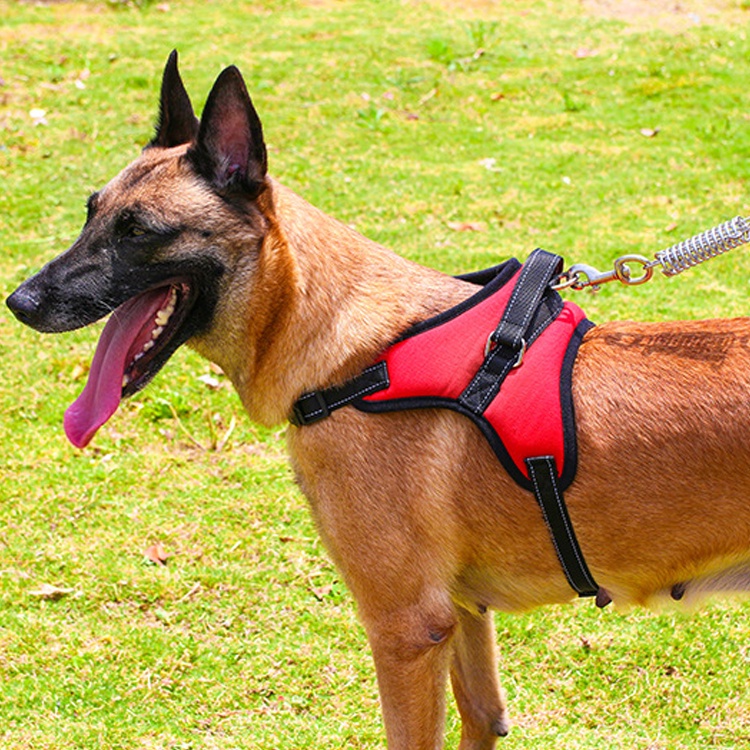 Dog Body Harness Strong Dog Harness Leash Small Medium Large Extra