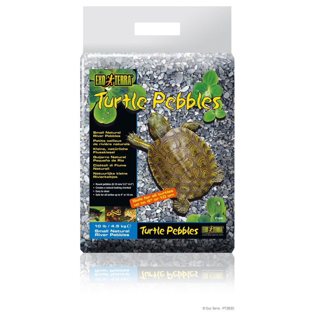 TURTLE PEBBLES NATURAL RIVER PEBBLES Exo Terra Reptile Turtle Gravel Natural Habitat Looking