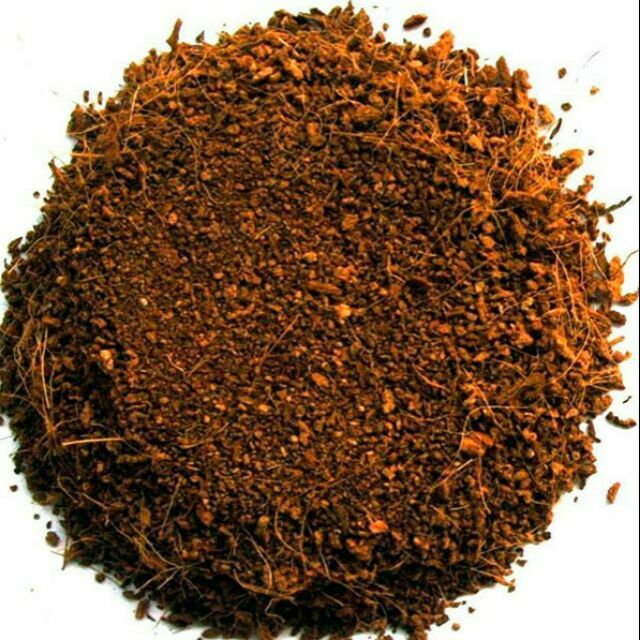 All forest terrarium substrates for reptiles Cocopeat / Cocohusk