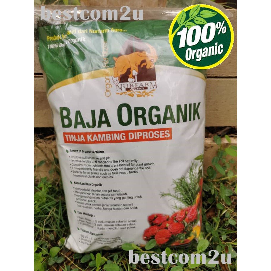+19 Baja Organik Ideas