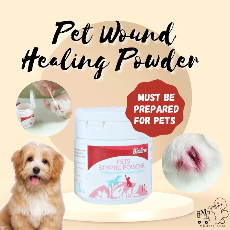 Can Dogs Lick Styptic Powder