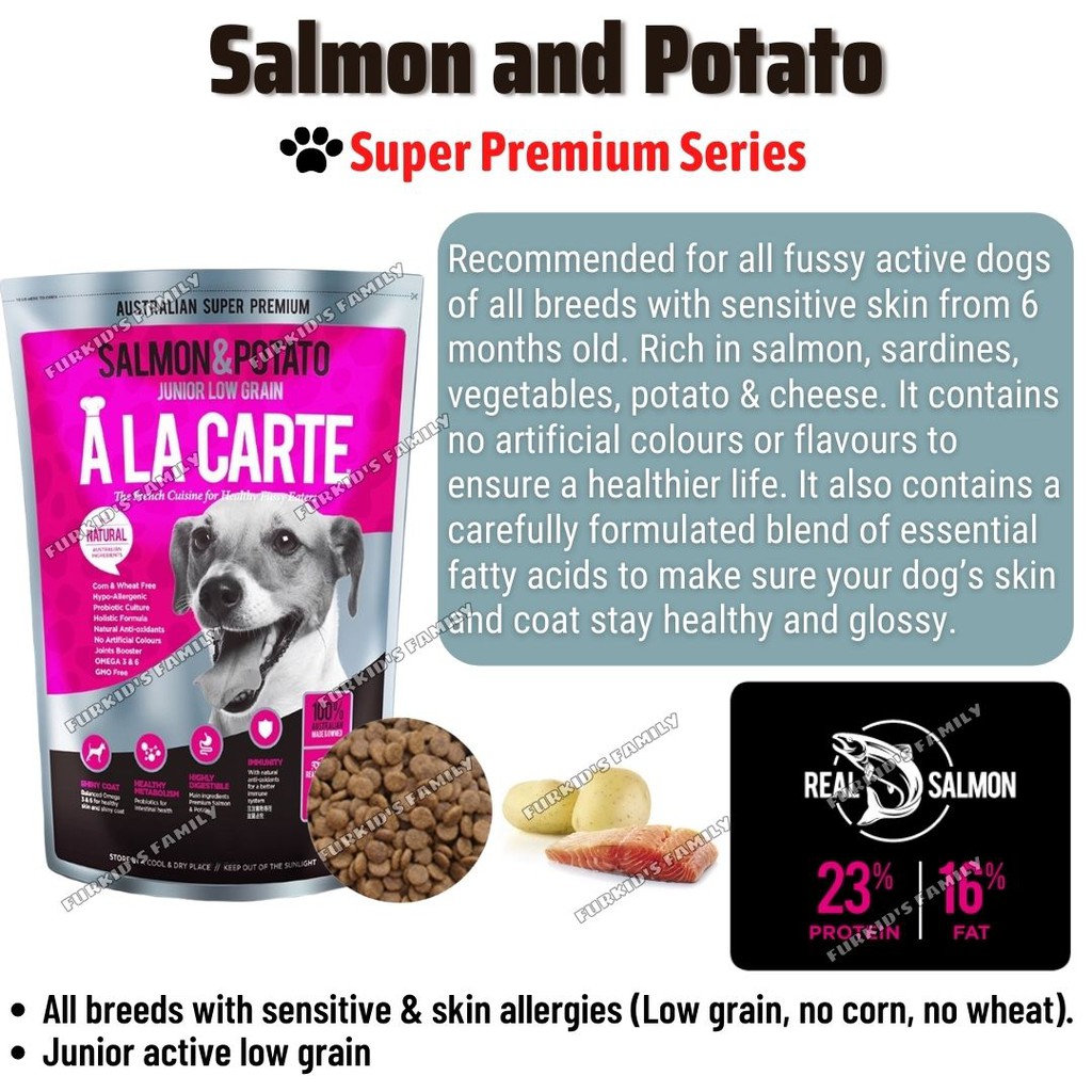 Is Dinovite Dog Food