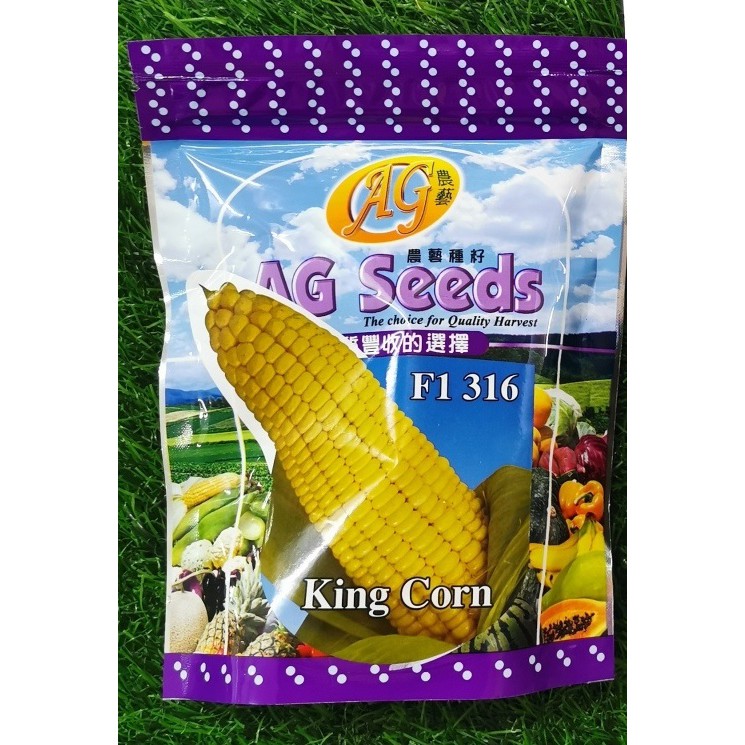 Benih Jagung Manis King F1 Sweet Corn Seed 200g Shopee Malaysia