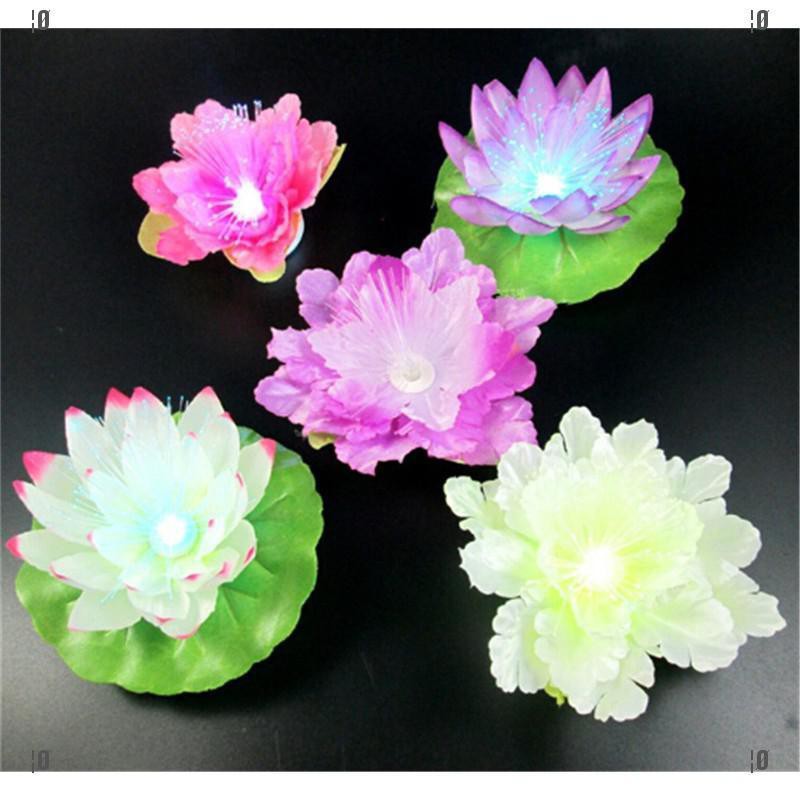 Lotus Flower Gift Malaysia Best Flower Site