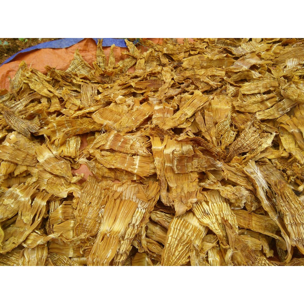 DRIED BAMBOO SHOOTS (MANG KHO 100G) Shopee Malaysia
