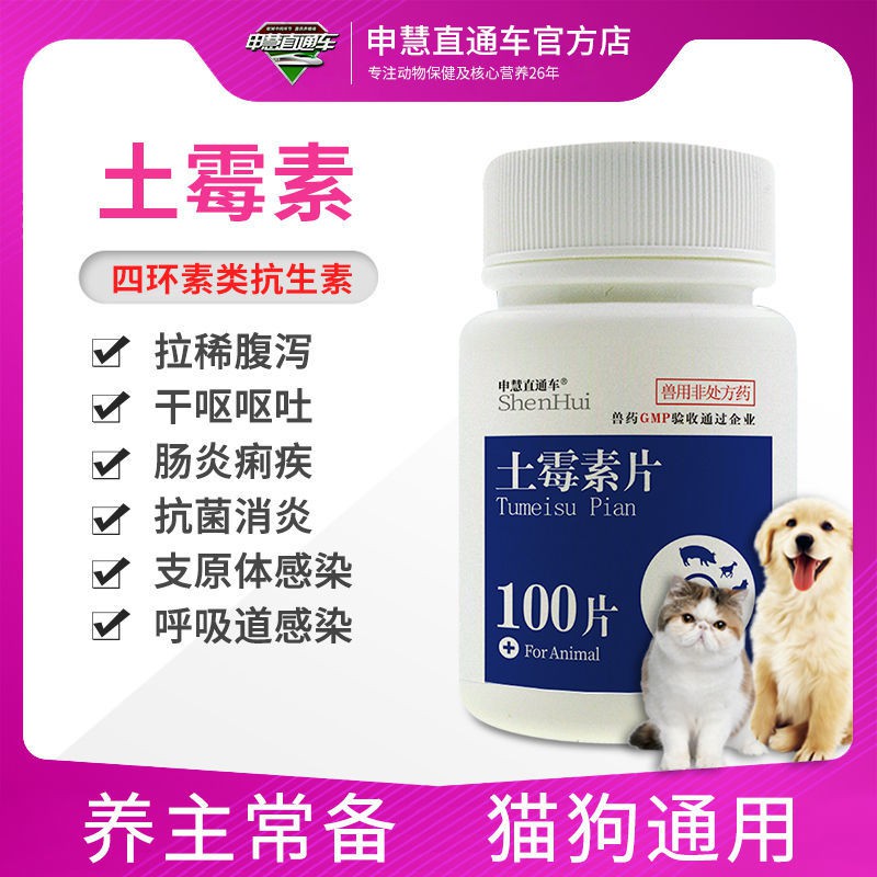 Dogs vomiting and diarrhea, pet gastrointestinal